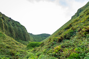 Caldeira de la Montagne Pel&eacute;e, Martinique