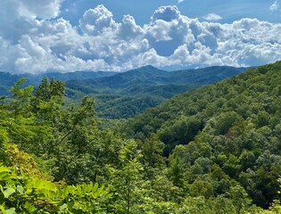 Late Summer Smokies