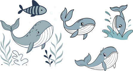 little whale vector set
