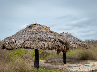 The Krusadai Island which is an uninhabited island in the Gulf of Mannar situated south of Pamban...
