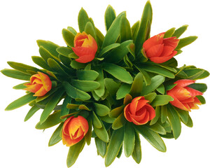 artificial arrangement of bright orange tulip shaped flowering plant with long green leaves...