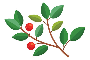 A branch laden with ripe red cherries vector illustration