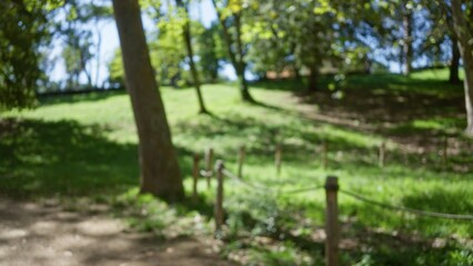 Blurred trees and greenery under the bright sun create a soft bokeh effect in a defocused view of...