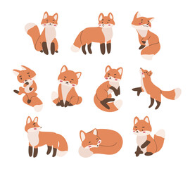 Little cute fox animal set