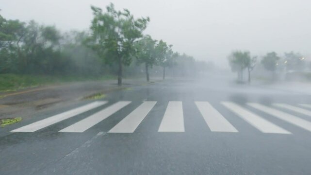 Hurricane Wind And Torrential Rain Lash Car On Road - Khanun