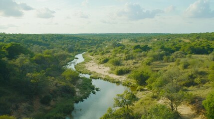 Broad Winding River Meanders Through Lush Green Forest Landscape