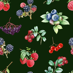 Fresh berries seamless pattern. Hand drawn blueberry, raspberry, blackberry, elderberry on dark background. Various garden berries vintage style illustration bright seamless pattern design element