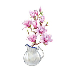 Pink magnolia branch with flowers in vase watercolor illustration. Hand drawn vintage style spring season blooming magnolia blossoms decor element. Springtime tender flowers on white background