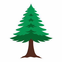 Cedar vector, icon vector on white background.