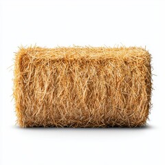 Freshly Baled Hay Bale on White Background Highlighting Textured Straws and Natural Color Tone