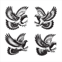 Vector silhouette pigeon flying