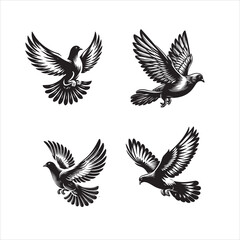 Vector silhouette pigeon flying