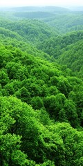 A lush, green landscape spreads across rolling hills, showcasing dense forests and vibrant foliage under a cloudy sky.