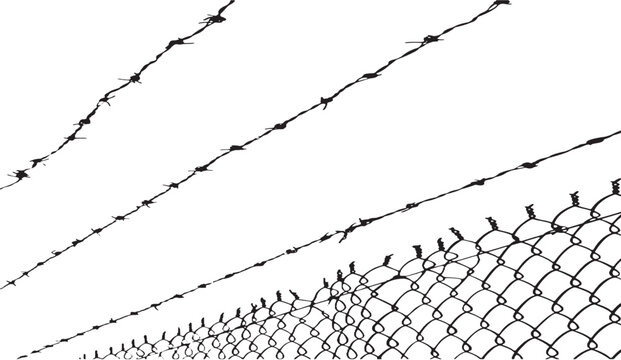 Monochromatic depiction of a chain-link fence topped with layers of barbed wire against a stark white backdrop emphasizing confinement and boundary delineation