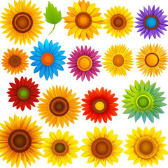 Colorful floral pattern with various vibrant flowers and leaves