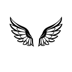 Angelic pair of wings, wings spread on a white background, black and white image