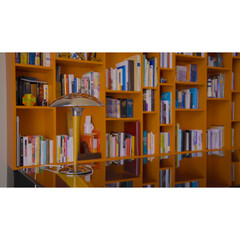 Reading Lamp and Orange Bookshelves