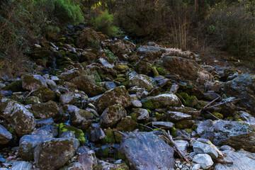 A fresh mountain stream flows through a stone in the middle of a sloped forest hill. 