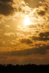 夕暮れの広大な河川敷の日没。
埼玉県鴻巣市市荒川河川敷-2024
