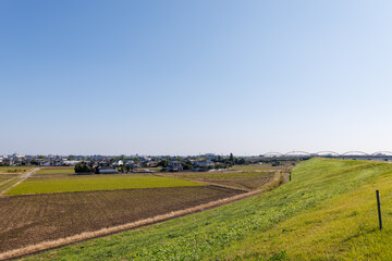 広大な河川敷の葦原
埼玉県鴻巣市市荒川河川敷-2024
