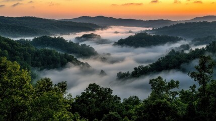 Obraz premium Misty Mountain Sunrise: A Breathtaking View of Nature's Serenity