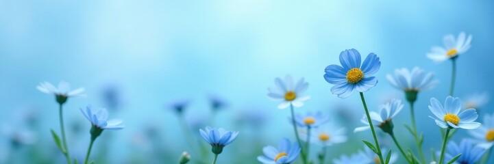 Delicate blue forget-me-nots scattered on a soft blue background, serenity, field, wildflowers
