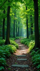 Obraz premium A winding stone pathway through a forest of trees, stone, nature, pathway