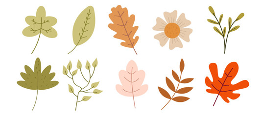 Autumn leaves and flowers set,  hand drawn style. Vector illustration in flat style