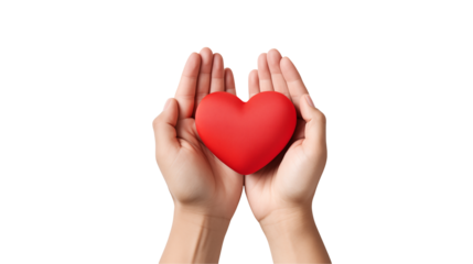 Caring Hands Holding a Red Heart Symbolizing Love and Compassion