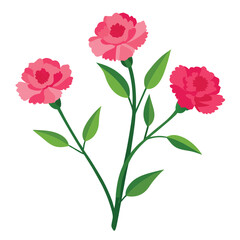 Fototapeta premium Isolated bouquets of pink roses on a white background, highlighting their natural beauty and the essence of love