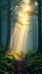 Misty veil rises from the forest floor in early morning light, ethereal, forest, mystical