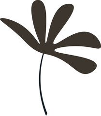 Botanical Shapes on Isolated White