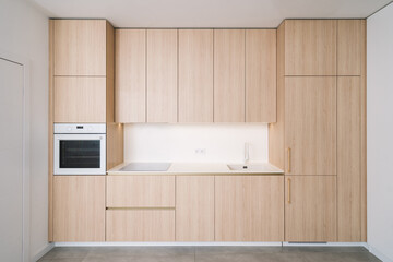 Modern minimalist kitchen design with wood cabinetry and integrated appliances