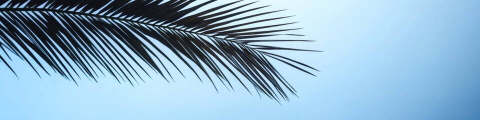 Obraz premium A plane flies through the clear blue sky next to a palm tree