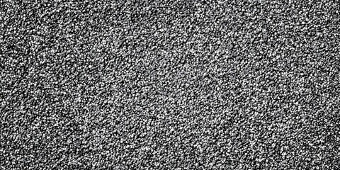 Black and White Glitter Texture with Shiny Particles, Sparkling Abstract Background, Luxury Decorative Surface Banner