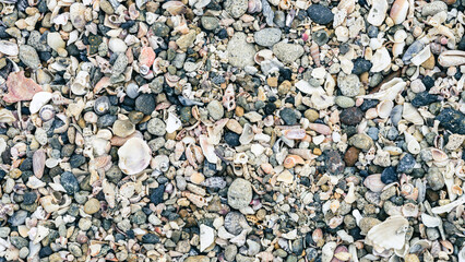 海の砂浜の砂利