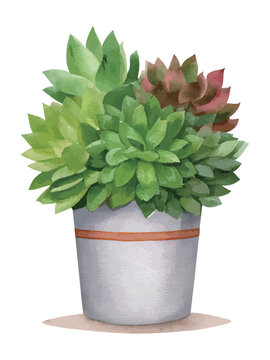 鉢に植えられた多肉植物の寄せ植え 水彩風イラスト　生成AI