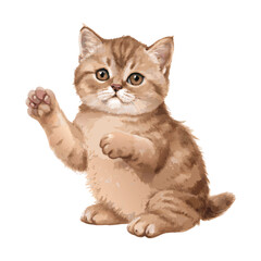Fototapeta premium Brown British shorthair cat arms raised watercolor painting vector art design
