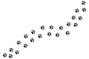 Paw vector foot trail print of cat. Dog, puppy silhouette animal diagonal tracks for t-shirts,  patterns, websites, showcases design, greeting cards, child prints and etc. vector illustration.