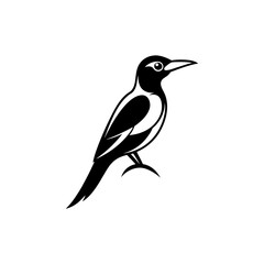 vector illustration of a bird