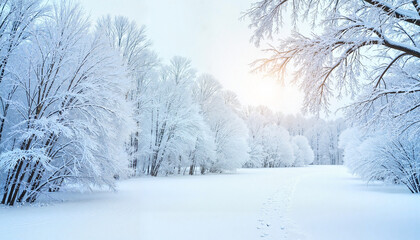 Tranquil snowy forest with willow branches and footprints, serene nature