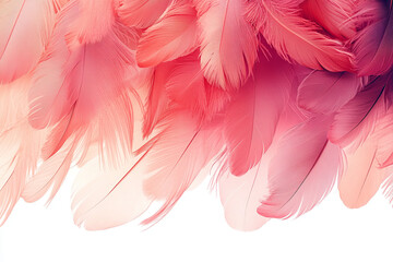 Vibrant pink and coral feathers creating a soft texture for creative projects