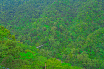 山