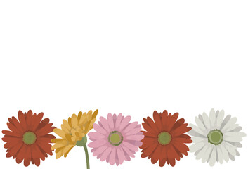 ガーベラのイラスト素材　一列