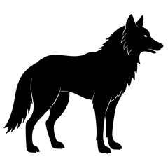 black and white wolf