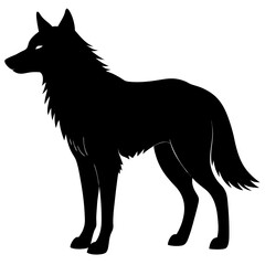 wolf vector illustration
