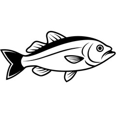 fish on a white background