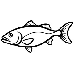 fish on a white background