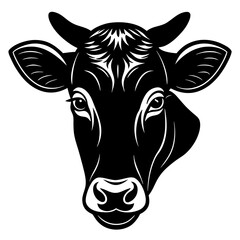 black and white cow