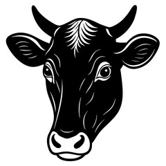 black and white cow